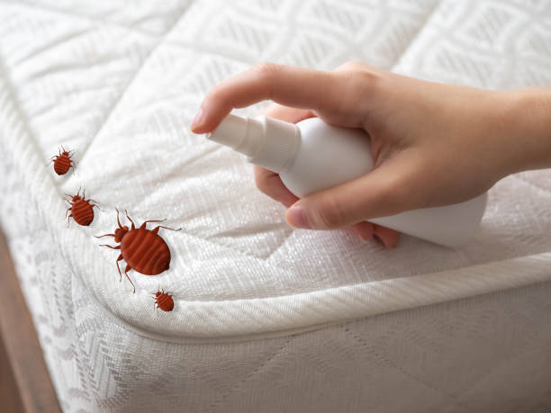 Best Emergency Pest Control  in Riddle, OR